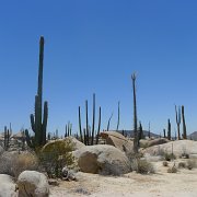 Baja2011 1079 : Baja2011